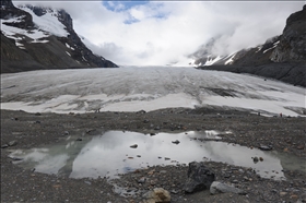 Athabasca Glacier